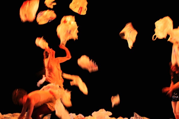 Birds-&-Plastic-Island2---l